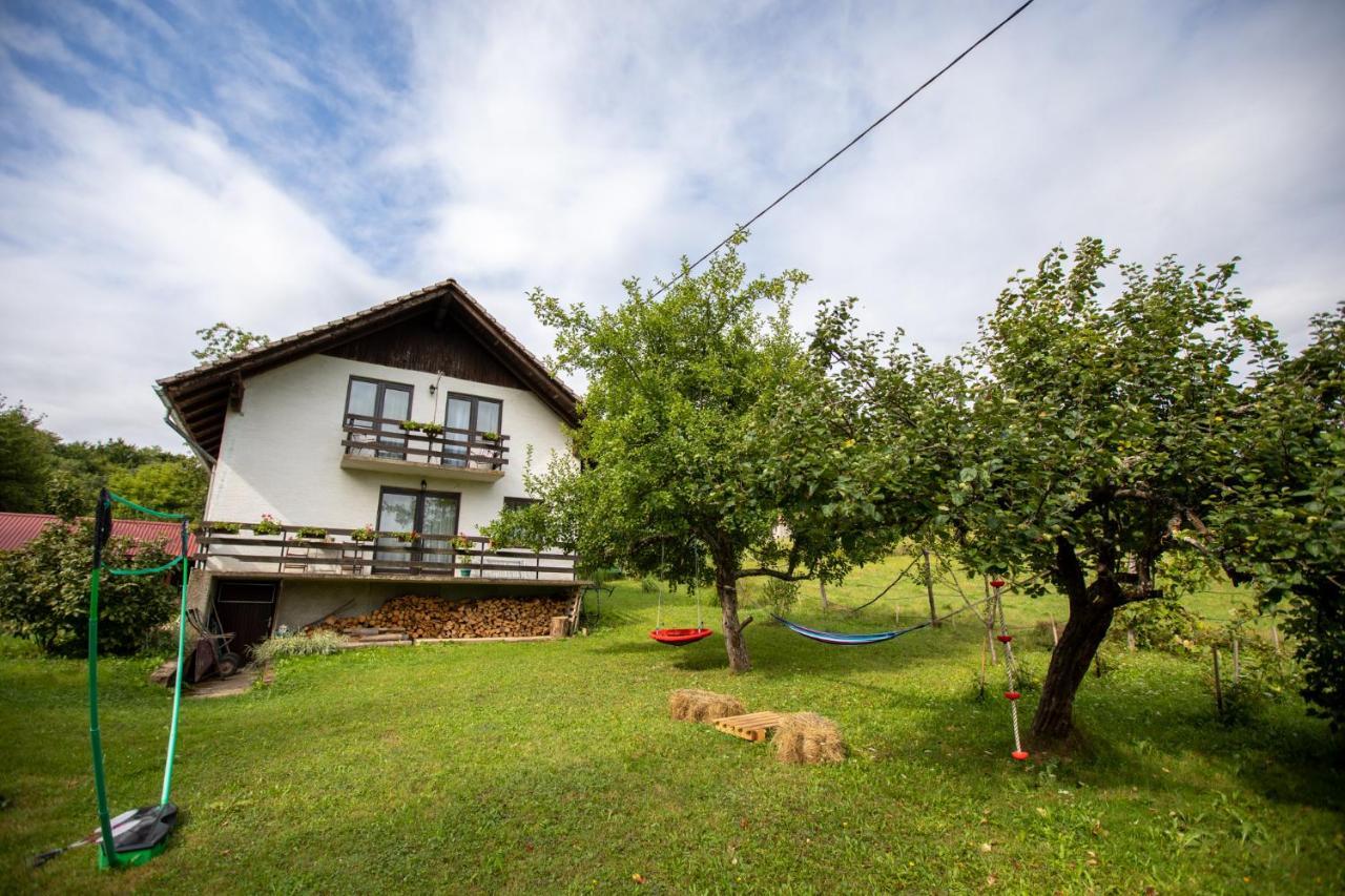 Holiday House On The Riverside Ogulin Kültér fotó